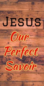 jesus our perfect savior grace and salvation