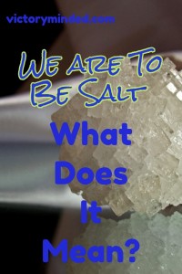 We are to be salt - What does that mean?